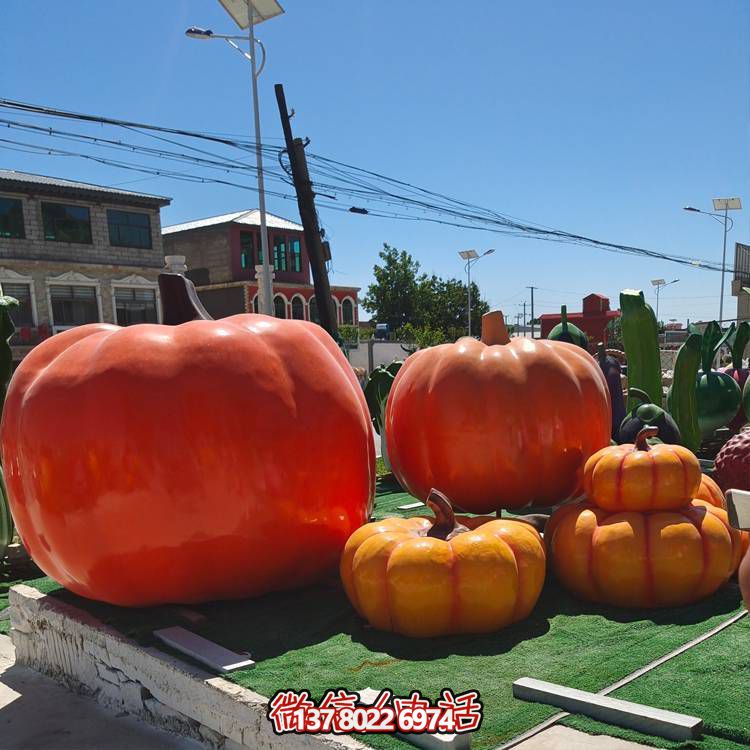 美麗鄉村，收獲美食——南瓜種植示范農場