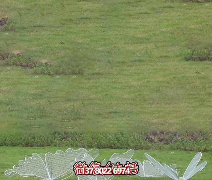 不銹鋼網格池塘蝴蝶雕塑 不銹鋼網格池塘蝴蝶雕塑